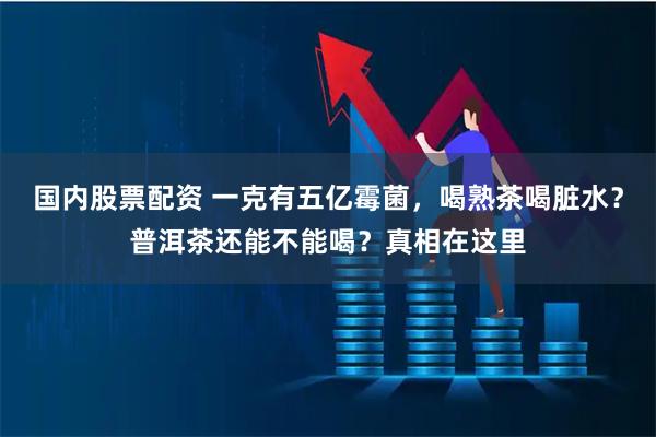 国内股票配资 一克有五亿霉菌，喝熟茶喝脏水？普洱茶还能不能喝？真相在这里